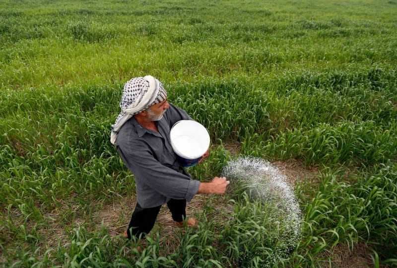 قرار بإيقاف استيراد 6 محاصيل زراعية