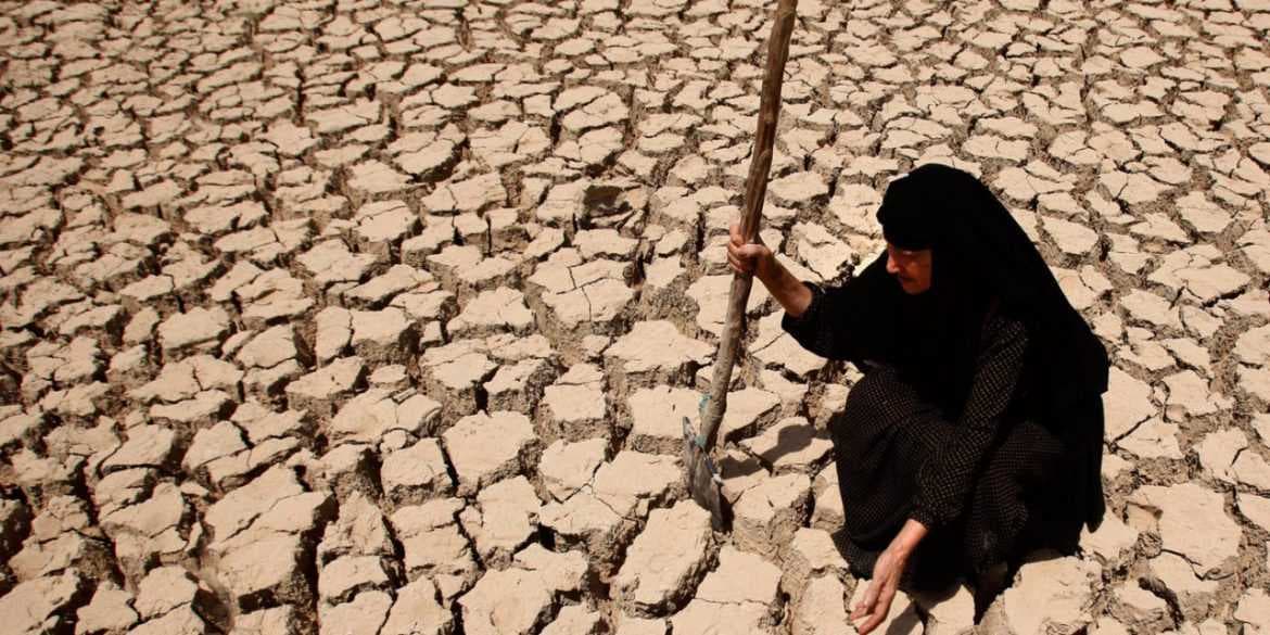 مركز بيئي يدعو لتشكيل ’مجلس أعلى لمكافحة التغير المناخي’