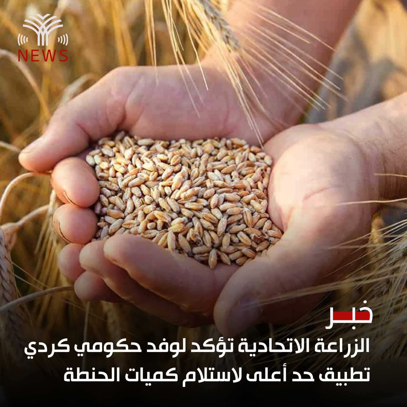 الزراعة الاتحادية تؤكد لوفد حكومي كردي تطبيق حد أعلى لاستلام كميات الحنطة