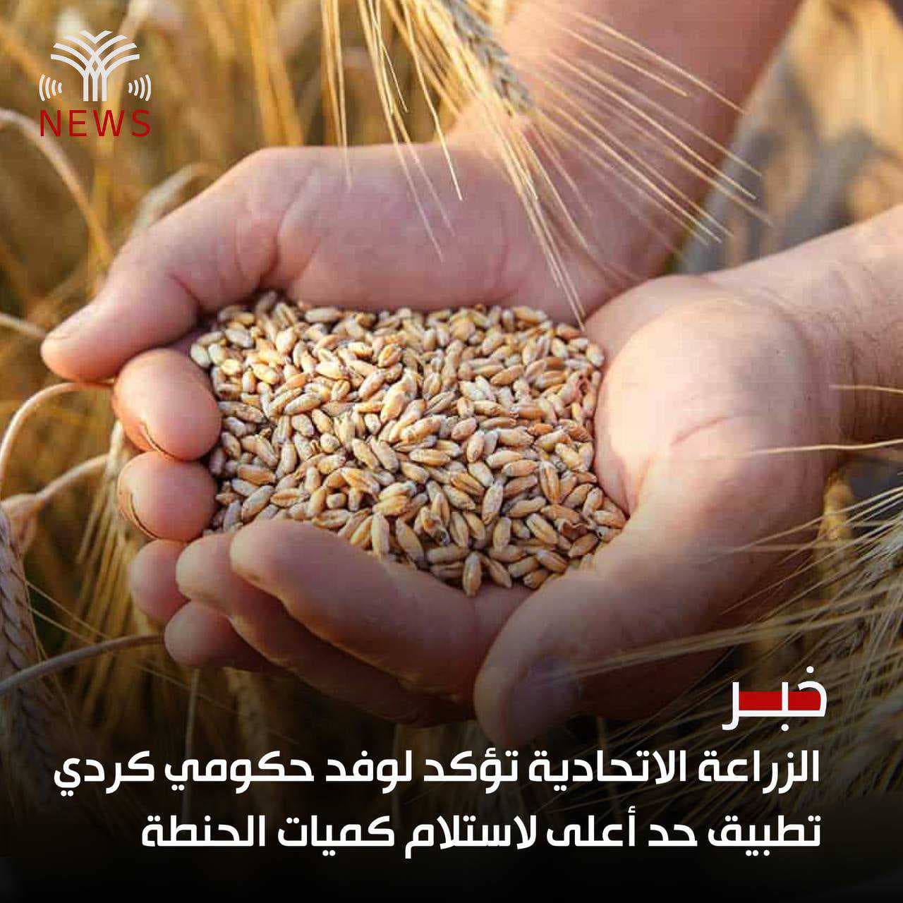 الزراعة الاتحادية تؤكد لوفد حكومي كردي تطبيق حد أعلى لاستلام كميات الحنطة