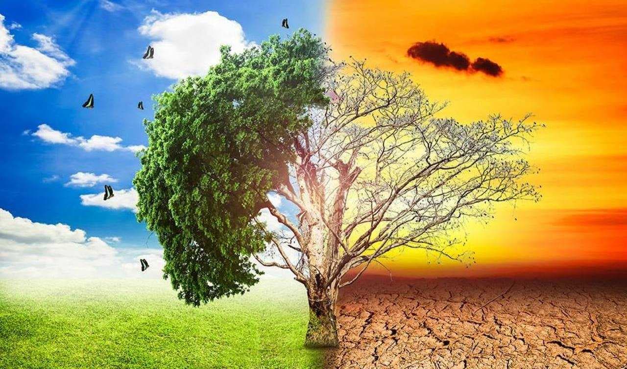البيئة: العراق من أكثر البلدان المتأثرة بالتغيرات المناخية