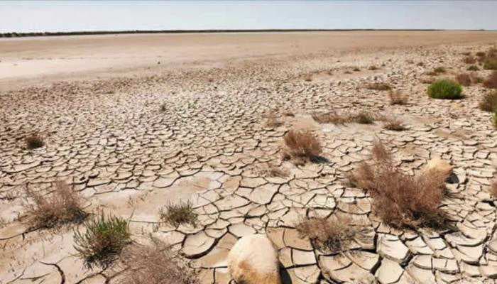 اثر التصحر والجفاف.. العراق يخسر 15% من الأراضي الزراعية