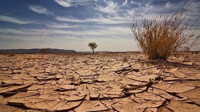 الزراعة النيابية تكشف عن خطة باتجاهين لمحاربة التصحر وخفض الحرارة