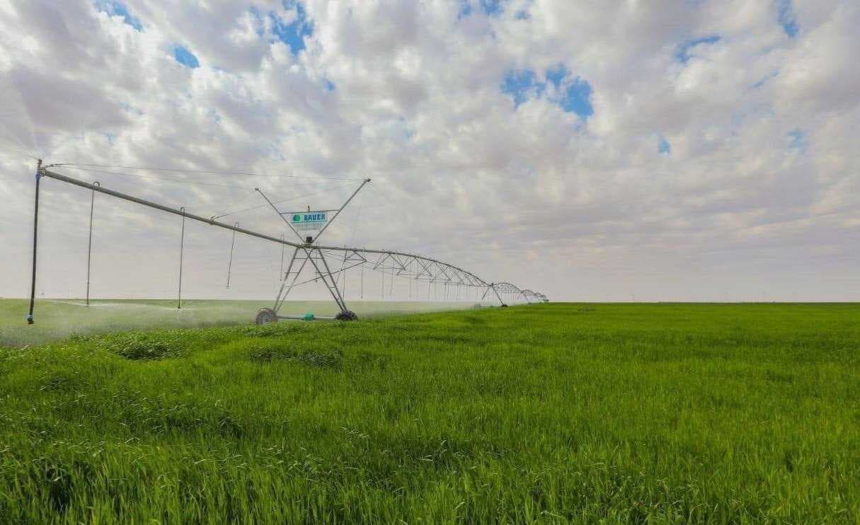 الزراعة: تقنية الري الحديثة ستضيف مليون دونم لخطة الموسم المقبل