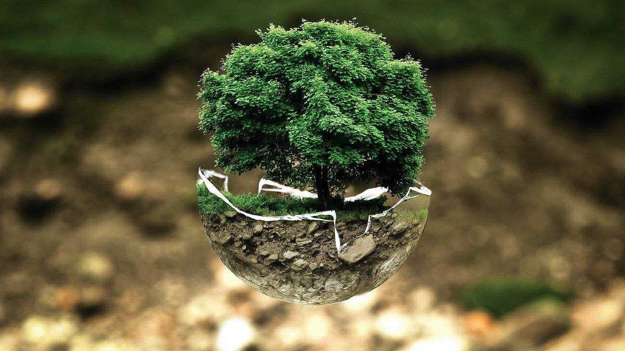 البيئة تدعو للانفتاح على المجتمع الدولي للحد من مخاطر الكوارث الطبيعية