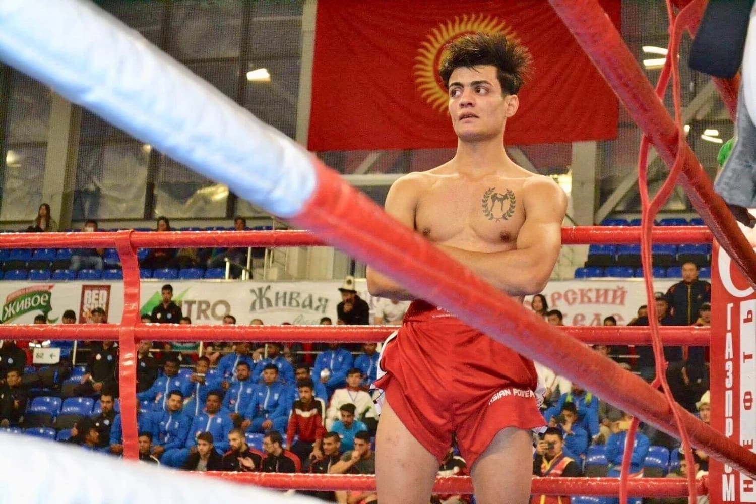 حسين سامي ينسحب من بطولة كأس العالم بالكيك بوكسينغ رافضاً مواجهة لاعب الكيان
