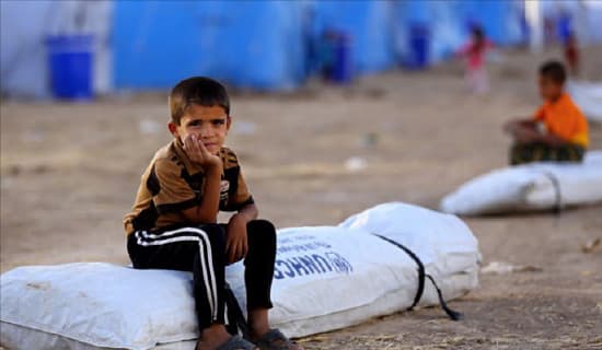 الهجرة الدولية: دعمنا 3000 مشروع لنازحين عائدين لديارهم