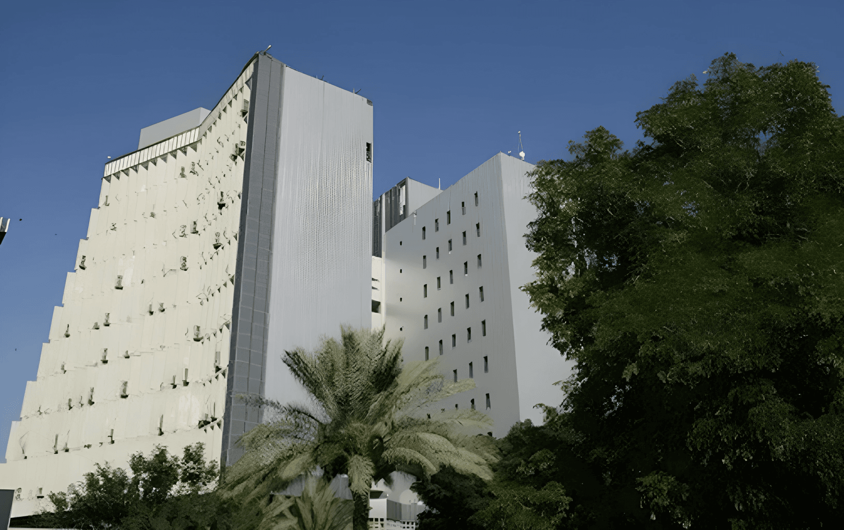 المالية توقف تنقلات الموظفين لتجنب العجز المالي