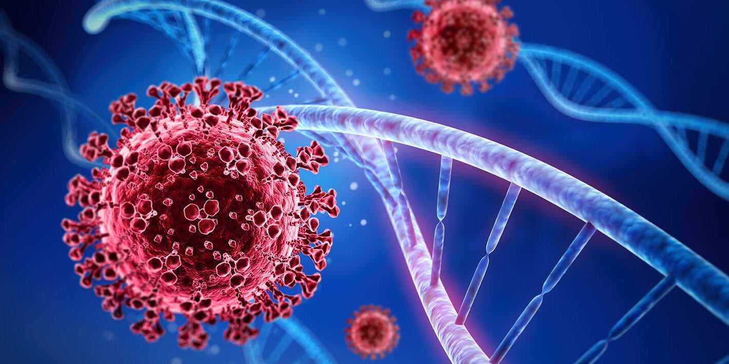 سلالة جديدة من كورونا لدى الخفافيش في الصين