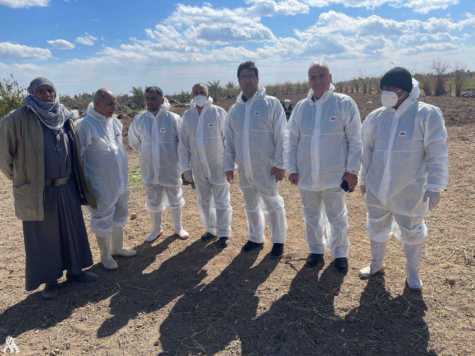 الزراعة تغلق "الجوبات" وتمنع حركة الحيوانات في المحافظات التي سجلت حمى قلاعية