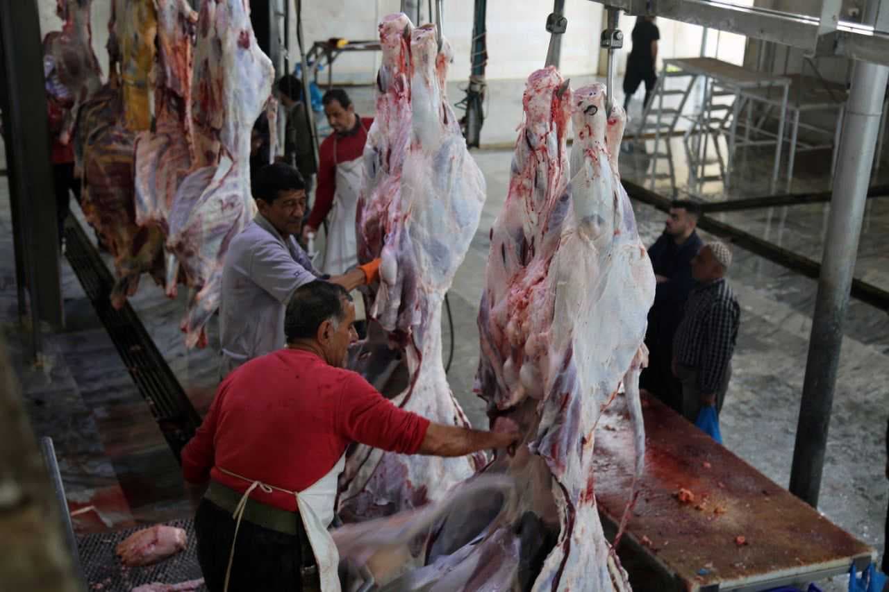 الزراعة: نجحنا بخفض أسعار اللحوم الحمراء في العراق