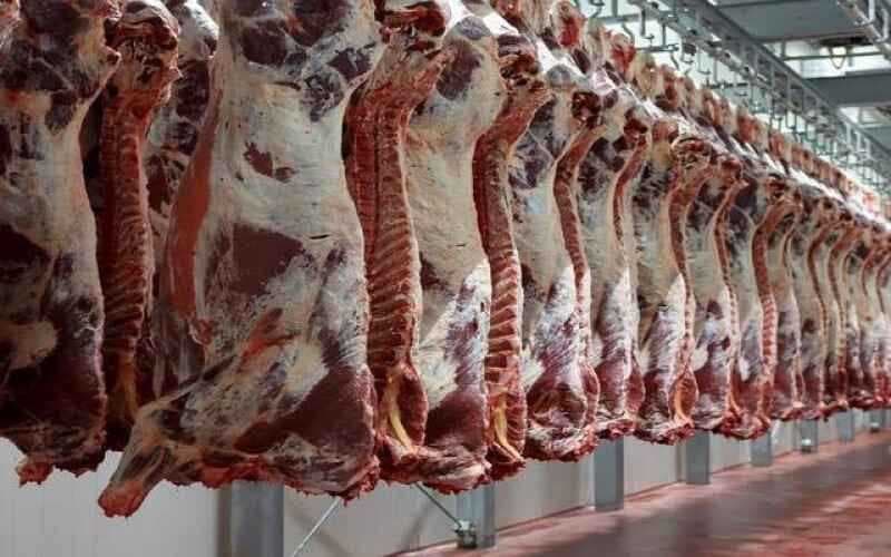الزراعة تعلن تنفيذ حملة تفتيشية للحد من حالات الجزر العشوائي للماشية