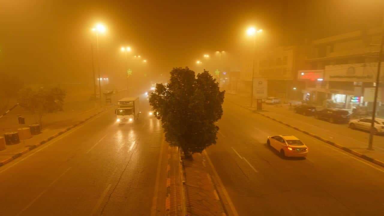 "ابقوا في منازلكم" .. تحذيرات لمرضى الحساسية والربو