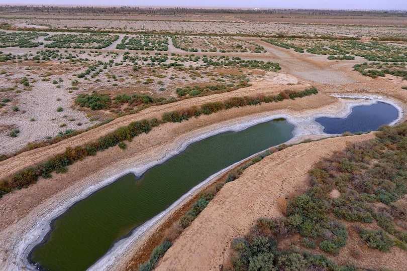 بالانفوغراف.. أبرز إجراءات الحكومة العراقية لإدارة أزمة المياه