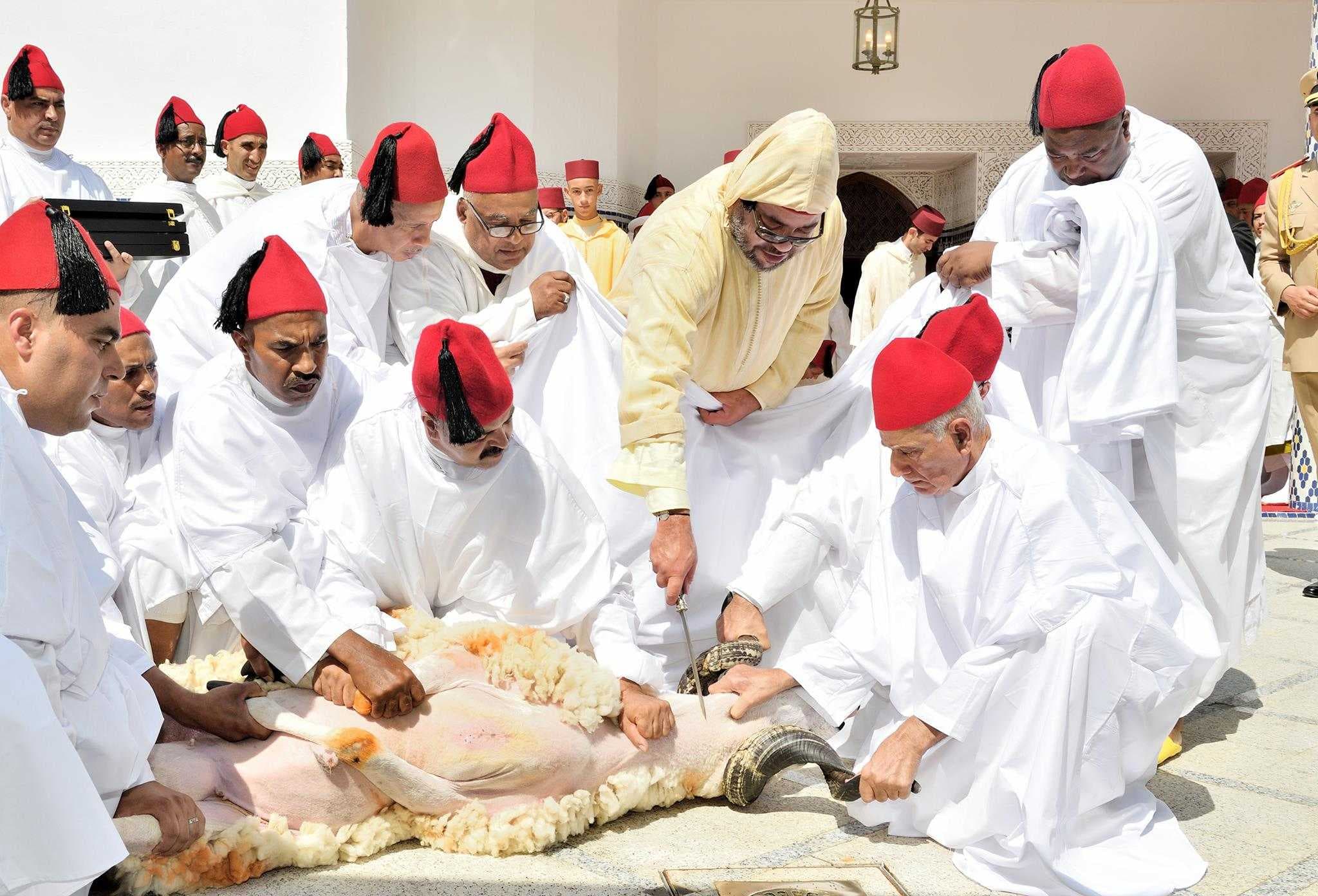 لماذا ألغى المغرب شعيرة الذبح في عيد الأضحى هذا العام؟