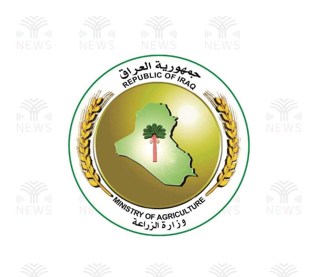 الزراعة: المحاصيل المحلية تغطي حاجة السوق ونمتلك خزيناً كافياً من الحنطة