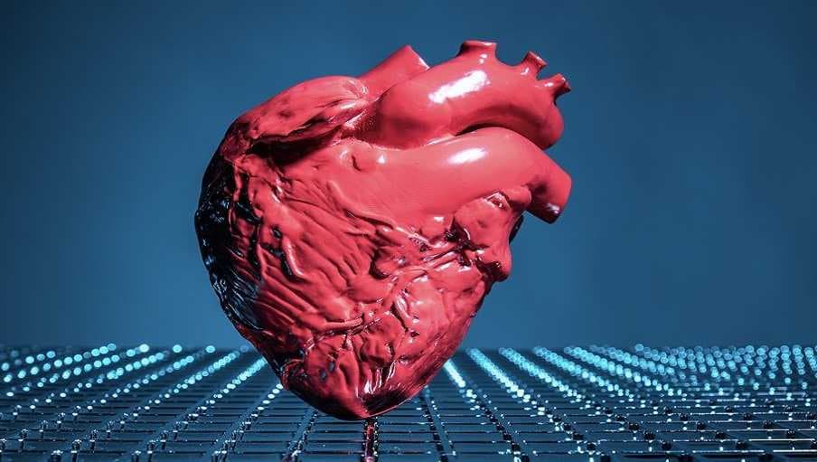 علماء يبتكرون طريقة لزراعة القلب دون إيقافه أو تبريده
