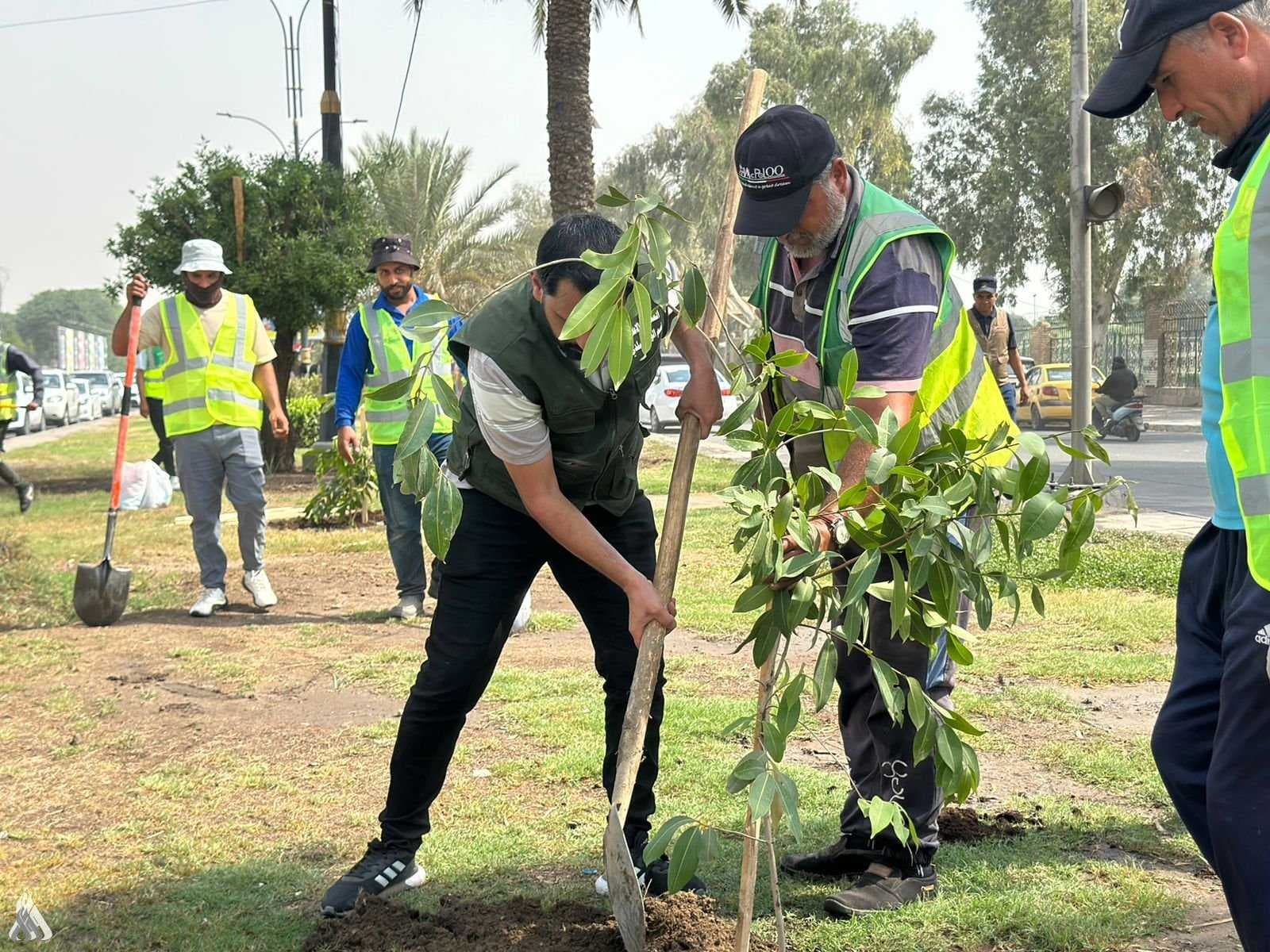 أمانة بغداد تستعد لإطلاق أكبر حملة تشجير وزراعة مليون شجرة