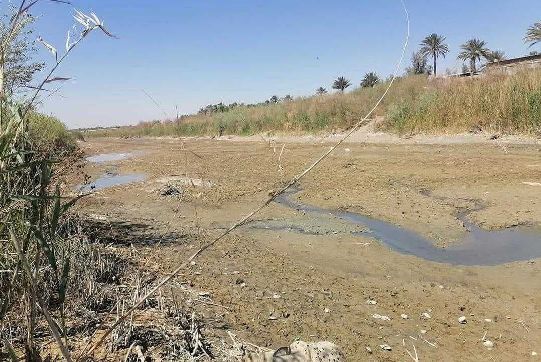 مجلس ديالى: تجاوزات خطيرة على المياه وإحالة 139 مخالفا للقضاء