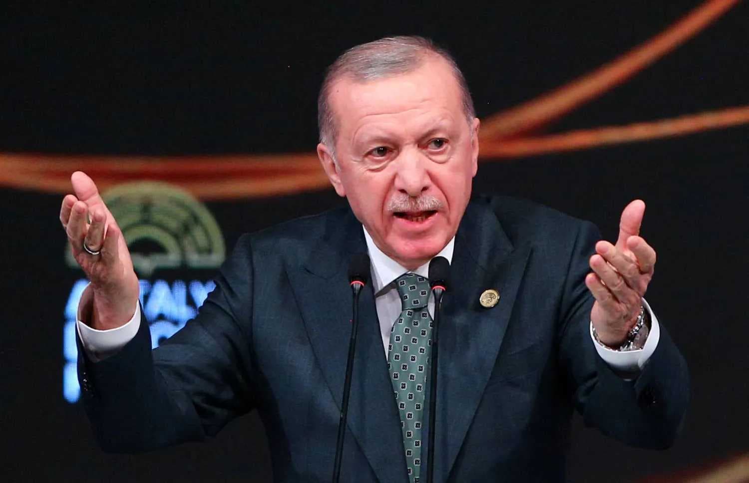 أردوغان: حماس مستعدة للسلام وحل الدولتين الأنسب للقضية الفلسطينية