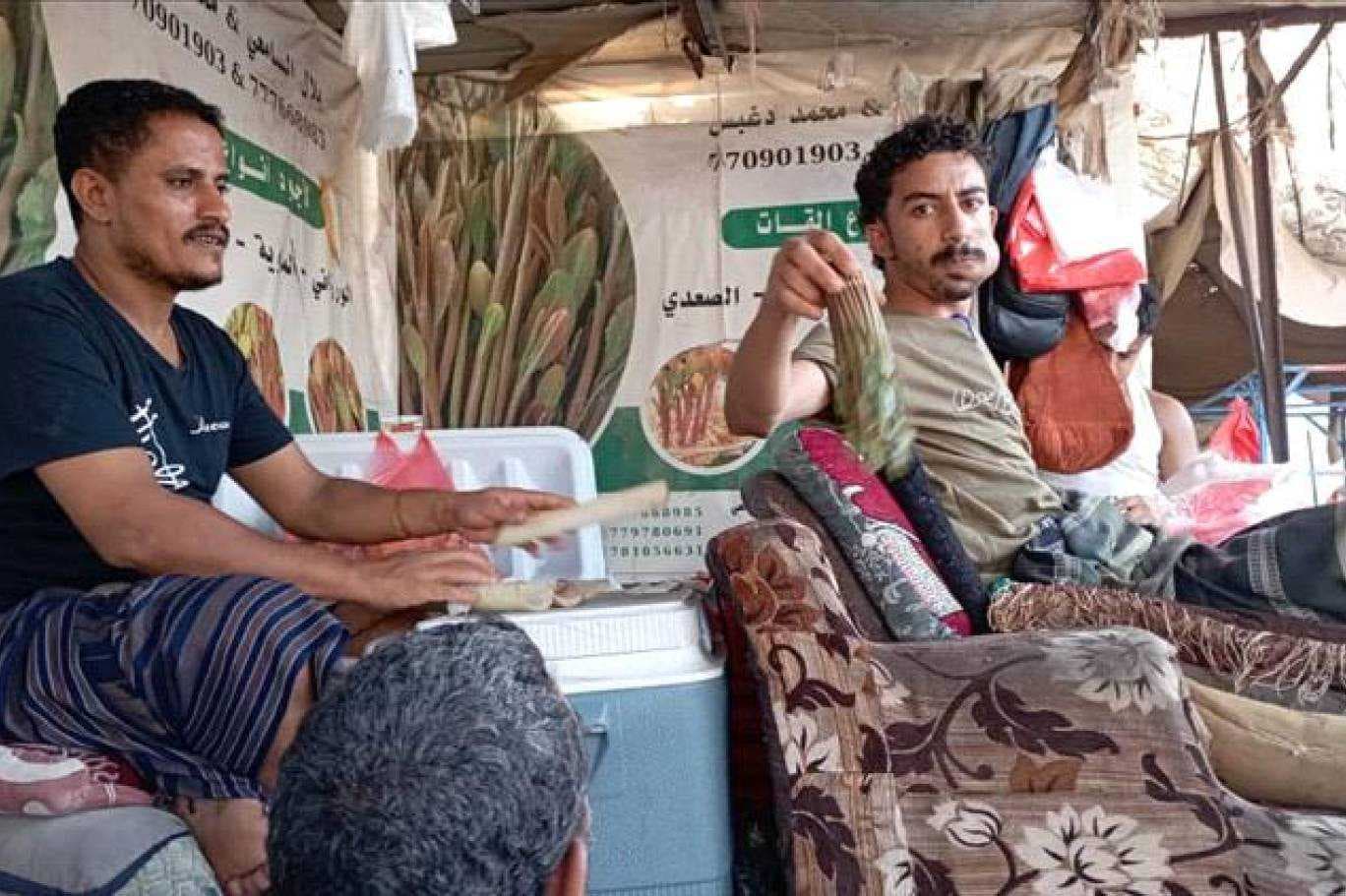 قرار رسمي بحظر "القات" خلال أوقات العمل بالمؤسسات الرسمية في عدن