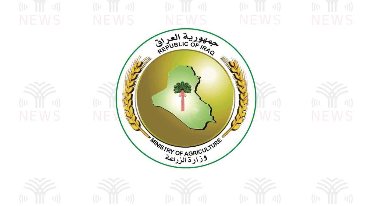الزراعة: تشكيل لجان لحصر أضرار الثروة السمكية نتيجة تلوث المياه