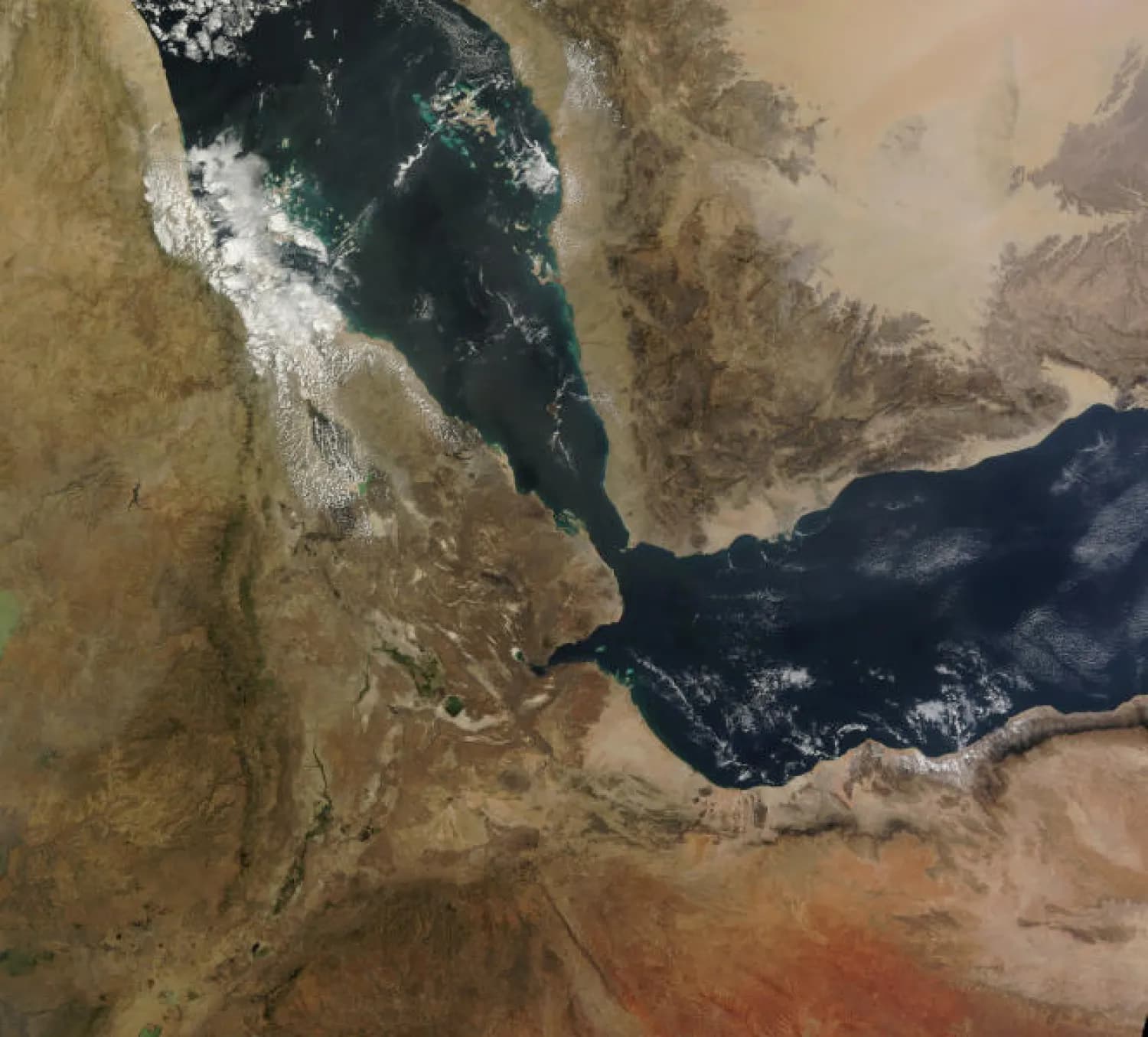 وكالات: الحوثيون يعلنون السيطرة على جزيرة ميون واستكمال السيطرة على مضيق باب المندب
