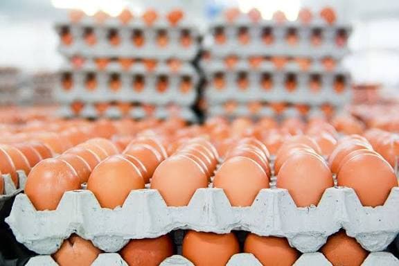 المجلس الوزاري للاقتصاد يقرر رفع المنع عن استيراد بيض المائدة