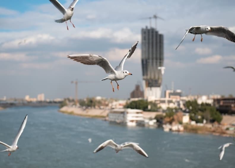 طقس العراق.. انخفاض في درجات الحرارة بدءاً من الاثنين المقبل