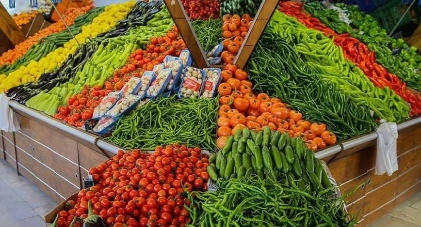 الزراعة تحدد 33 مادة ممنوعة من الاستيراد