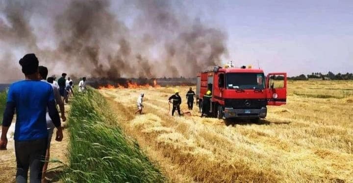 حريق كبير يلتهم 50 دونماً من حقول الحنطة جنوب كركوك