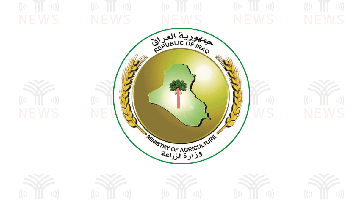 الزراعة: العراق يعتمد بذوراً غير معدلة وراثياً ورقابة لجميع حلقات الإنتاج
