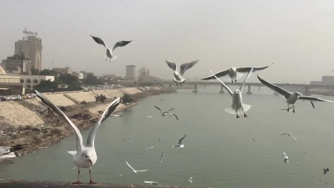 الأنواء الجوية: طقس صحو مع بعض الغيوم وارتفاع درجات الحرارة