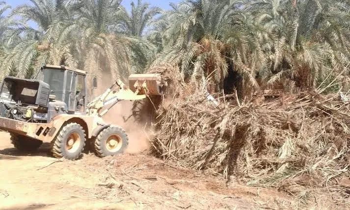 الإطاحة بشبكة خطيرة لتزوير السندات وتجريف الأراضي الزراعية في بغداد