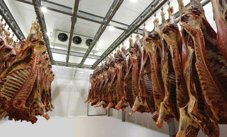 العراق يفتح منصة إلكترونية لاستيراد اللحوم.. "الأسعار ستنخفض"
